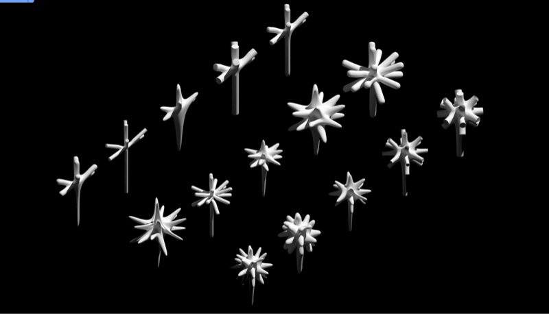 Fourteen white branching forms on a black background