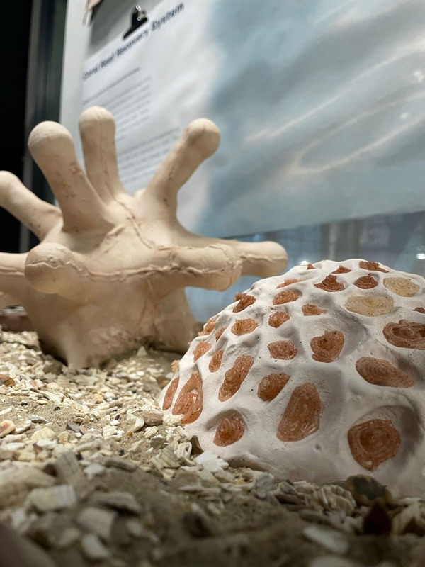 Pale branching prototype resting on sand next to a white model coral with orange patches