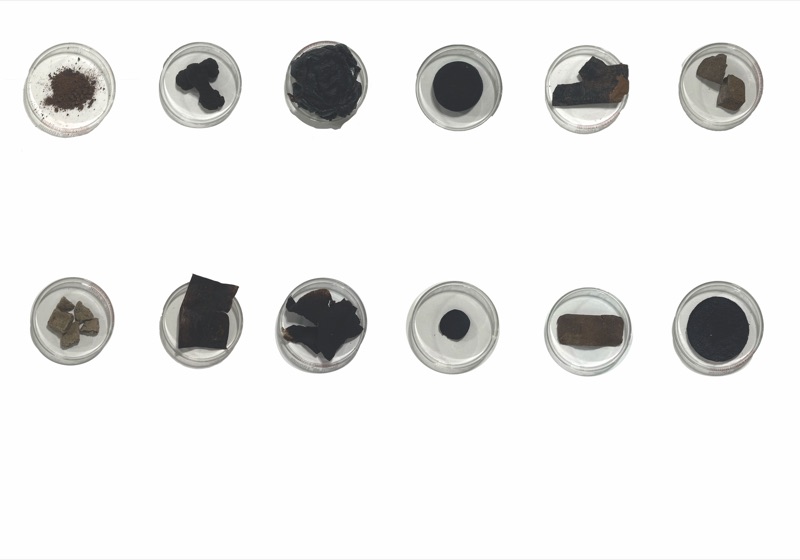 Twelve round dishes holding coffee-based samples of different colour and texture