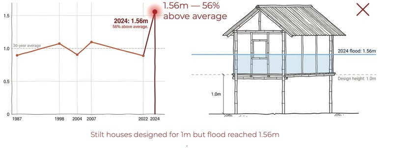 Chart of flood peaks from 1987 to 2024 beside a stilt house drawing with the 2024 water line above its design height